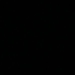 Meet your Posher, Brayden